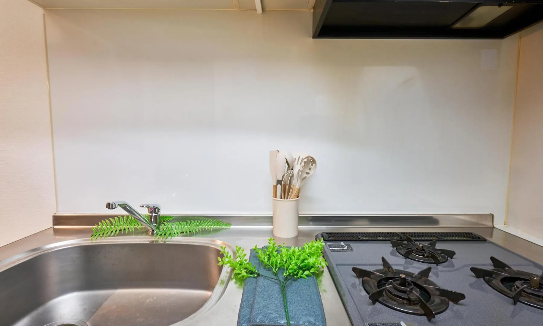 Apartament Shinjuku Waseda Sky Tokio 0*,  Japonia